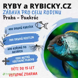 26.5.2024 Ryby a rybičky - největší akvaristická burza v Čechách s dlouholetou tradicí