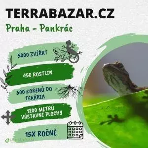 20.4.2024 - TERRABAZAR - Výstavní a prodejní burza exotických zvířat, rostlin a chovatelských potřeb